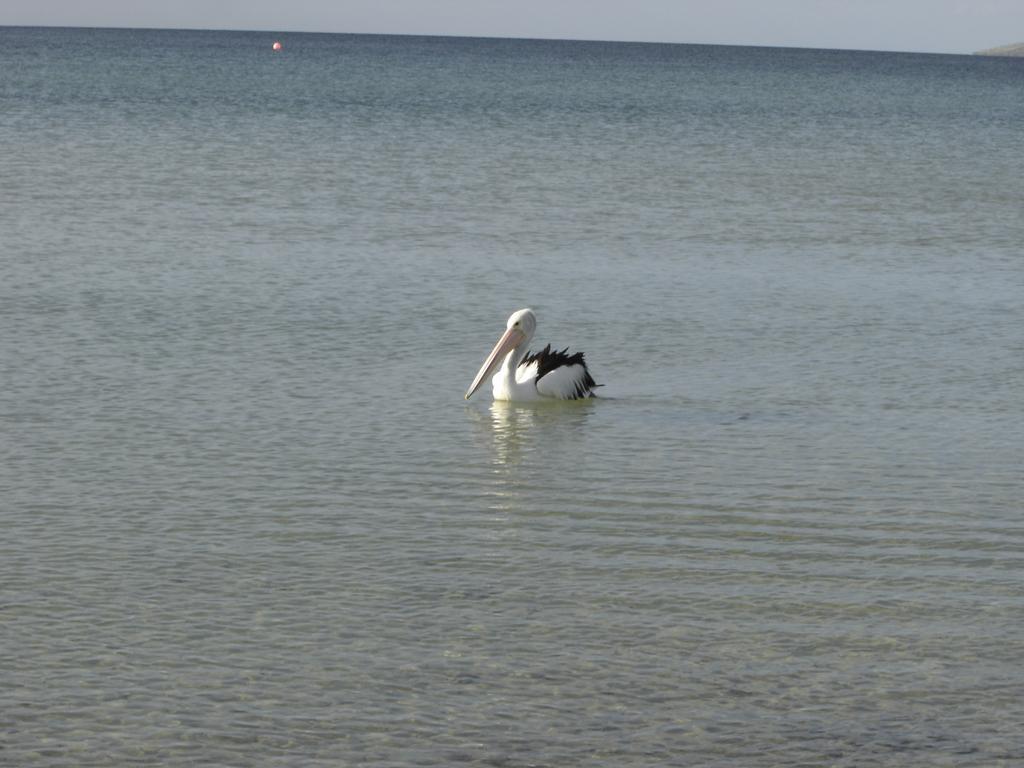 הוילה Island Beach Lantauanan - The Lookout מראה חיצוני תמונה